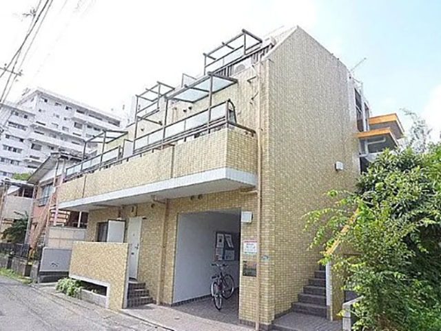 オレンジコートヒヨシ